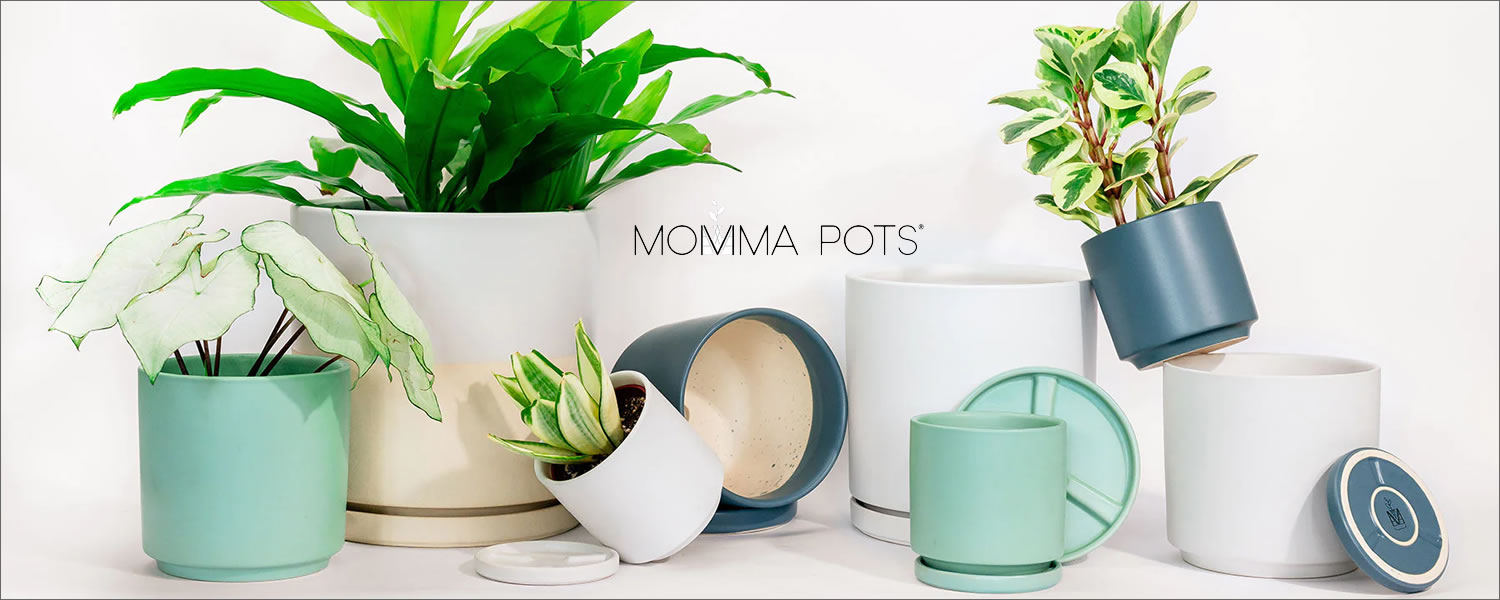 Momma Pots now at Urban Garden