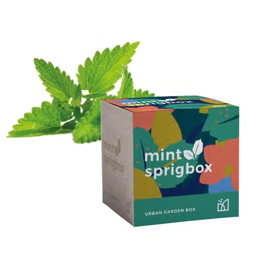 Sprigbox - Mint Grow Kit