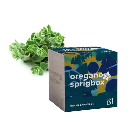 Sprigbox - Oregano Grow Kit