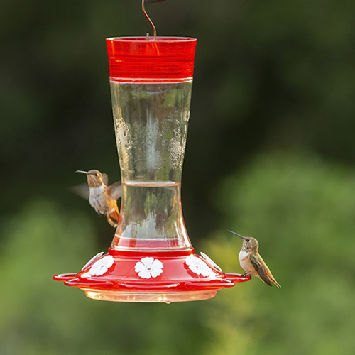 Garnet Hummingbird Feeder