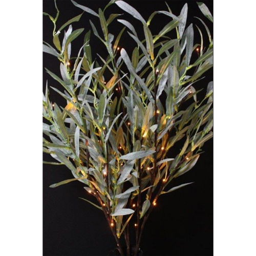Lighted Olive Branches