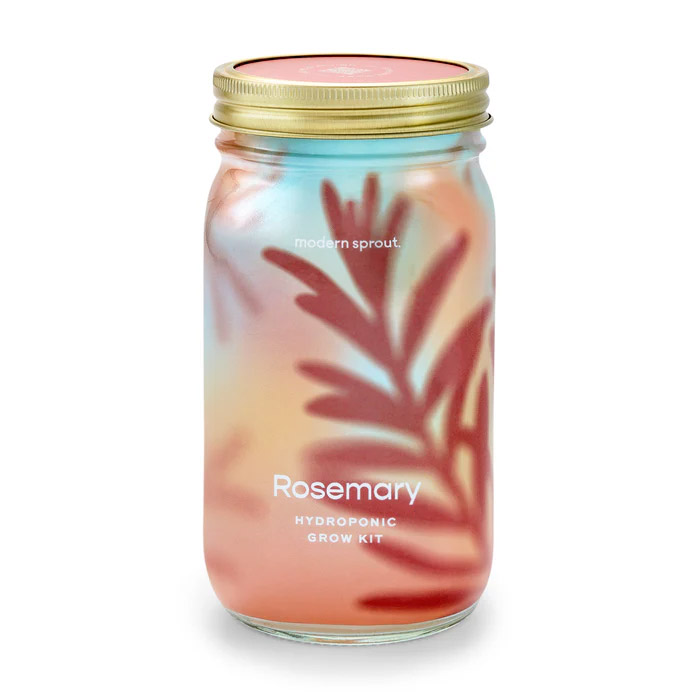 Garden Jar - Rosemary