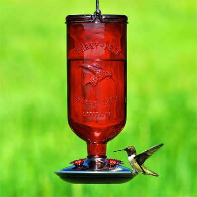 Oval Glass Hummingbird Feeder