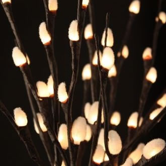 Lighted Natural Pussy Willow Branches