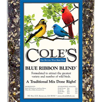 Bird Seed