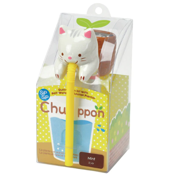 Chuppon - Cat