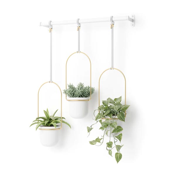 Triflora 3 Hanging Planter