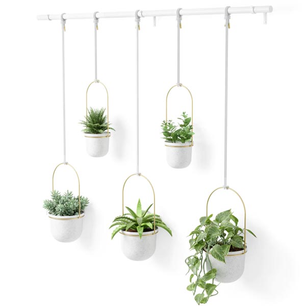 Triflora 5 Hanging Planter