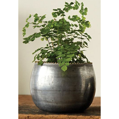 Round Metal Pot, 6in