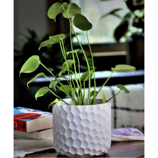 Honeycomb Planter, 4-Inch